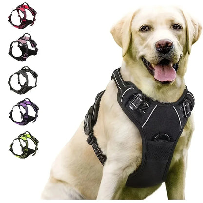Leather Dog Collar and Harness Leash Set
