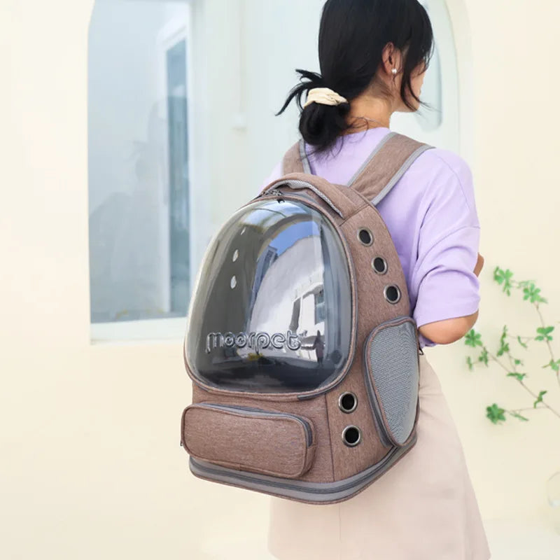 Transparent Folding Carrier Backpack