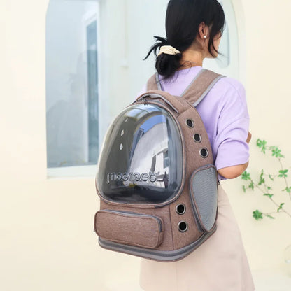 Transparent Folding Carrier Backpack