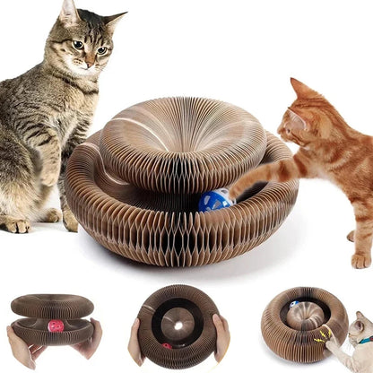 Magic Organ Scratcher Round Corrugated Cardboard Toy