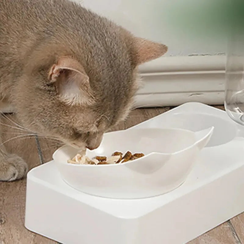 15° Tilt Pet Bowl Automatic Drinking Feeder