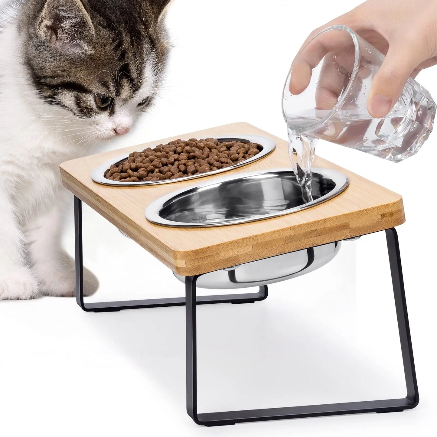15° Tilted Elevated Cat Bowls