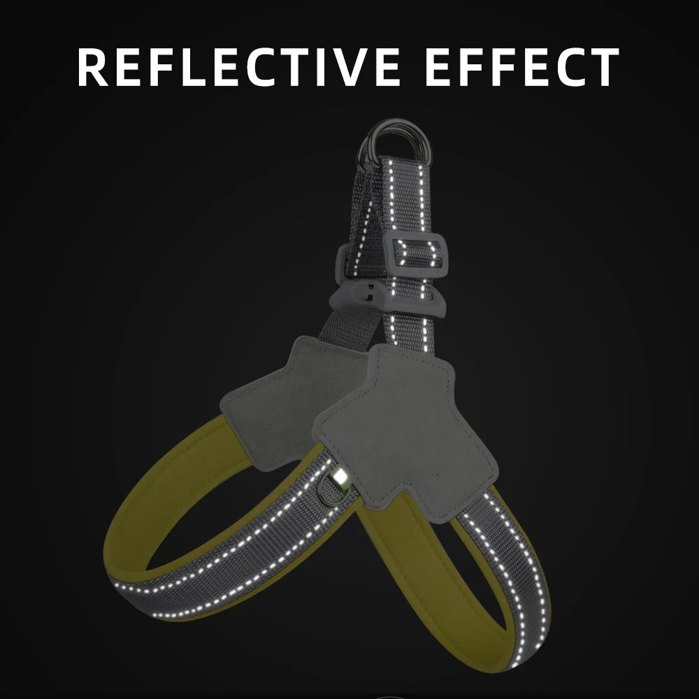 Reflective No-Pull Harness