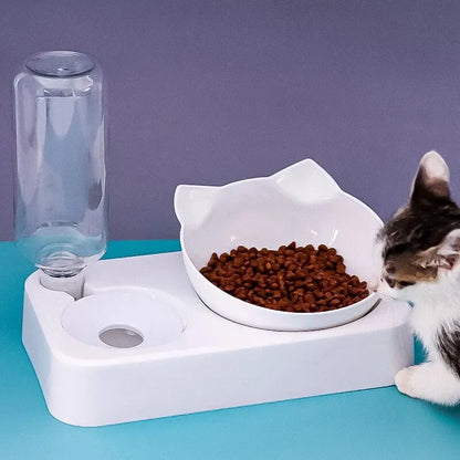 15° Tilt Pet Bowl Automatic Drinking Feeder