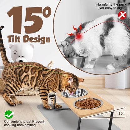 15° Tilted Elevated Cat Bowls