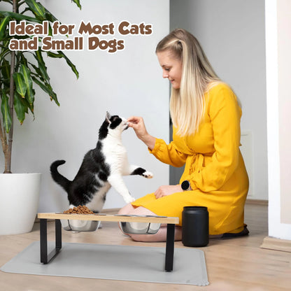 15° Tilted Elevated Cat Bowls