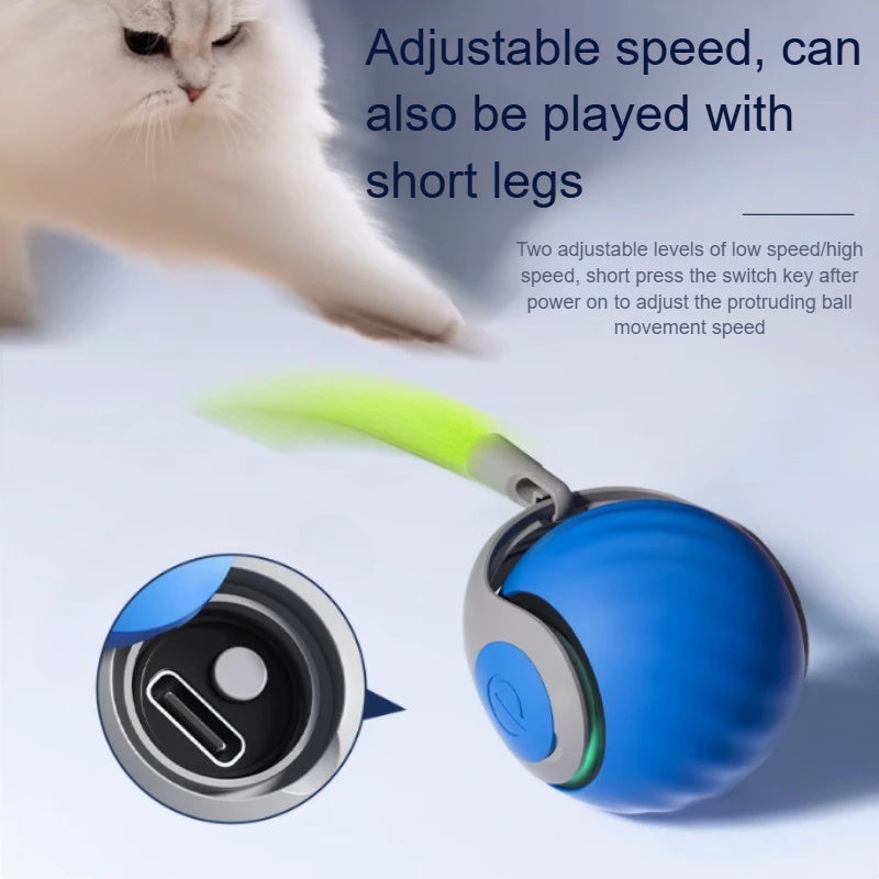 USB Rechargeable Smart Rolling Toy