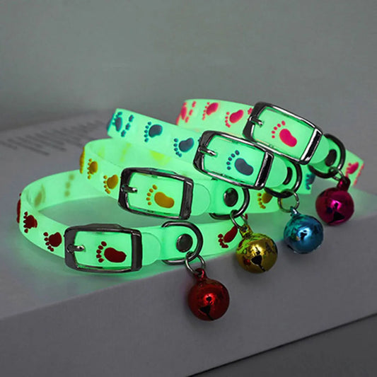Luminous Glowing Collar